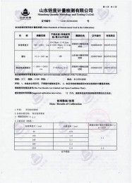 檢測儀器報告證書：涂層測厚儀